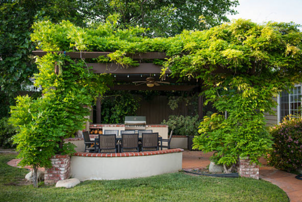 Pergola Kayu dengan Tanaman Rambat